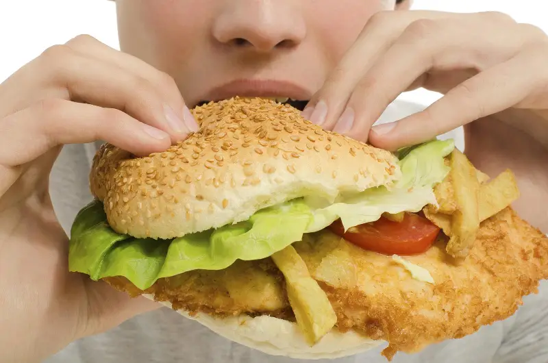 I limiti dell&rsquo;alimentazione moderna: su quali punti intervenire?