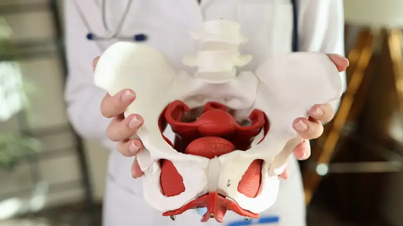 Esercizi di Kegel per l'Uomo: Guida Completa