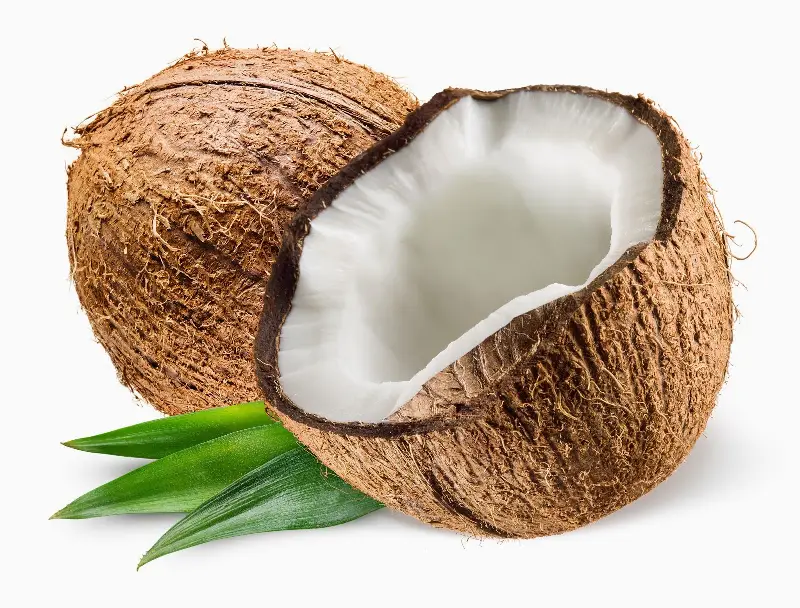 Noce di cocco o acqua di cocco: propriet&agrave; e benefici