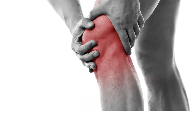 Il legamento crociato anteriore: anatomia e biomeccanica