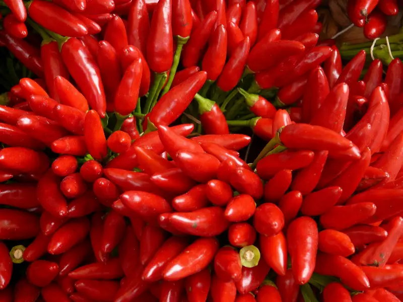 Il peperoncino: propriet&agrave; e controindicazioni