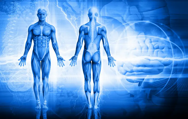 Differenza tra Postura e Posturologia
